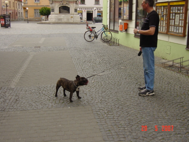 DSC02192.JPG