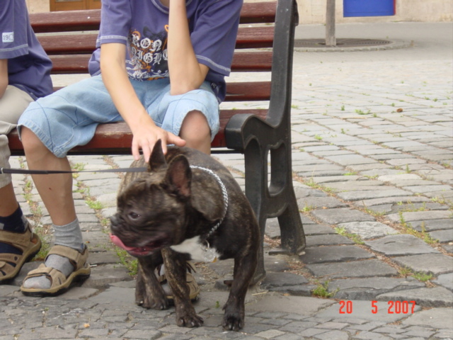 DSC02194.JPG