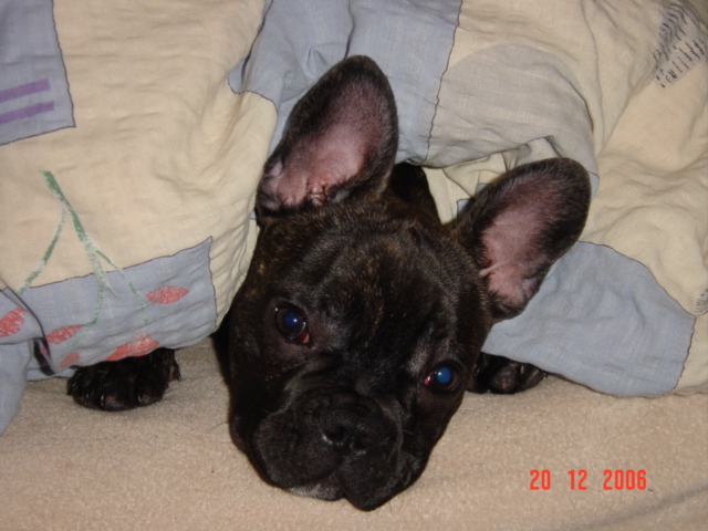 Artur 047.jpg