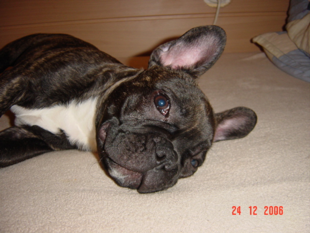 Artur 057.jpg