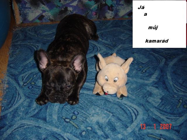 Artur 089.jpg